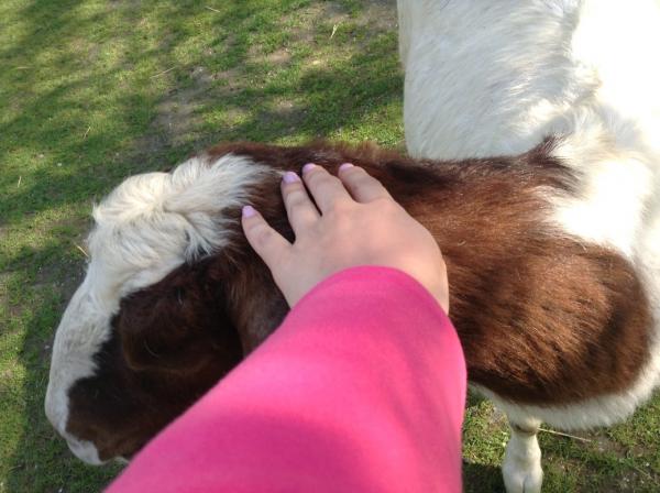 Название: IMG_0823.jpg
Просмотров: 1051
Размер: 40.6 Кб