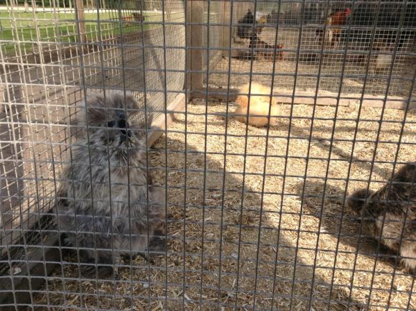 Название: IMG_0805.jpg
Просмотров: 1042
Размер: 73.6 Кб