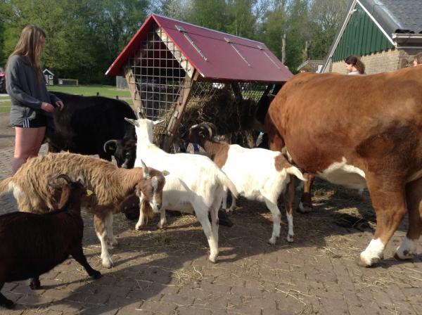 Название: IMG_0797.jpg
Просмотров: 1051
Размер: 51.2 Кб