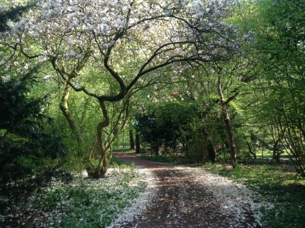 Название: IMG_0832.jpg
Просмотров: 1066
Размер: 83.3 Кб