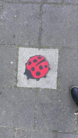 Название: IMAG0690.jpg
Просмотров: 695
Размер: 23.3 Кб