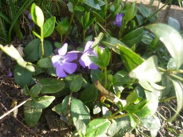 Название: P1120607.jpg
Просмотров: 1229
Размер: 56.3 Кб