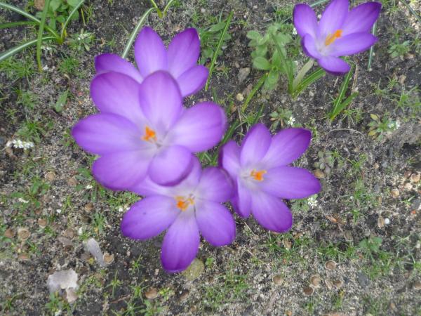 Название: P1120604.jpg
Просмотров: 1213
Размер: 67.0 Кб