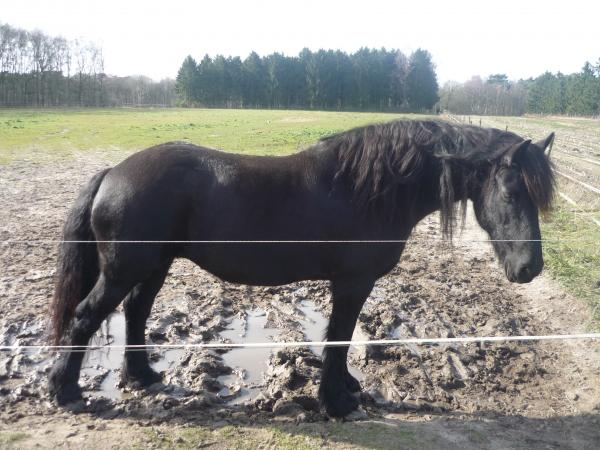 Название: P1120603.jpg
Просмотров: 1248
Размер: 54.3 Кб