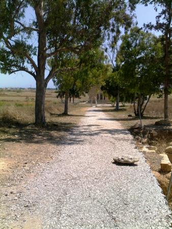 Название: 18062010548.jpg
Просмотров: 867
Размер: 45.2 Кб