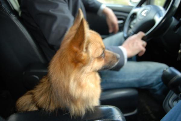 Название: x_f3e15875.jpg
Просмотров: 1131
Размер: 24.7 Кб