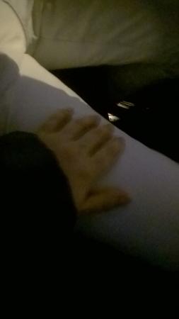 Название: WP_20140306_003.jpg
Просмотров: 740
Размер: 6.7 Кб