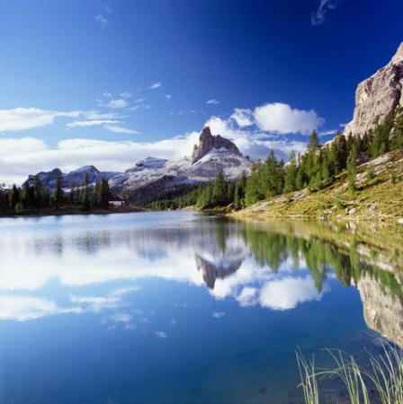 Название: природа 5.jpg
Просмотров: 1144
Размер: 27.8 Кб