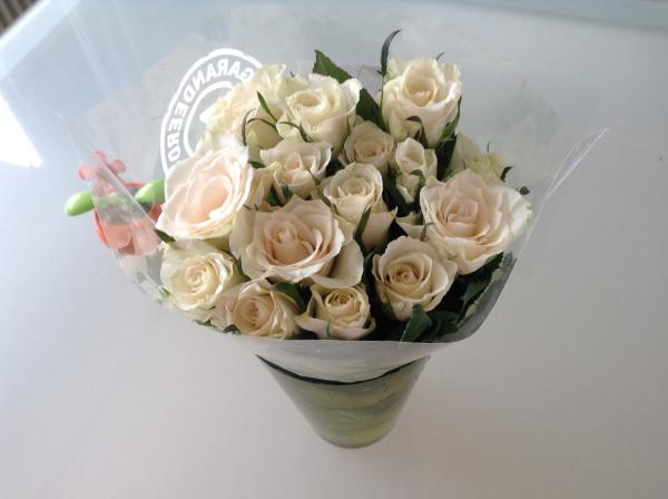 Название: image.jpg
Просмотров: 575
Размер: 25.4 Кб