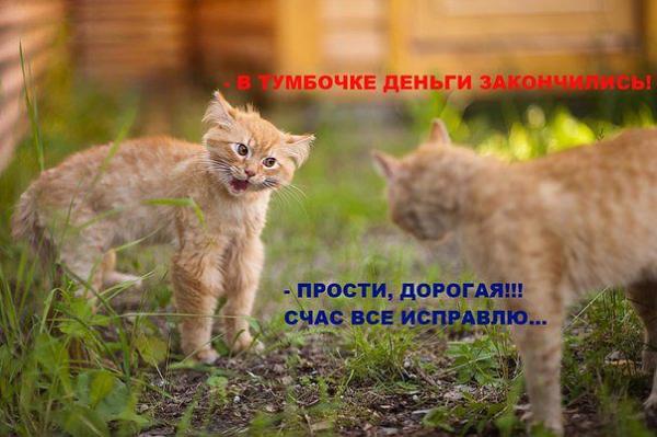 Название: image.jpg
Просмотров: 421

Размер: 41.0 Кб