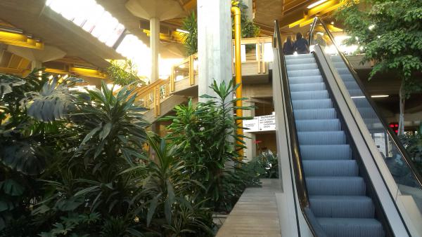 Название: IMAG1613.jpg
Просмотров: 575
Размер: 44.3 Кб